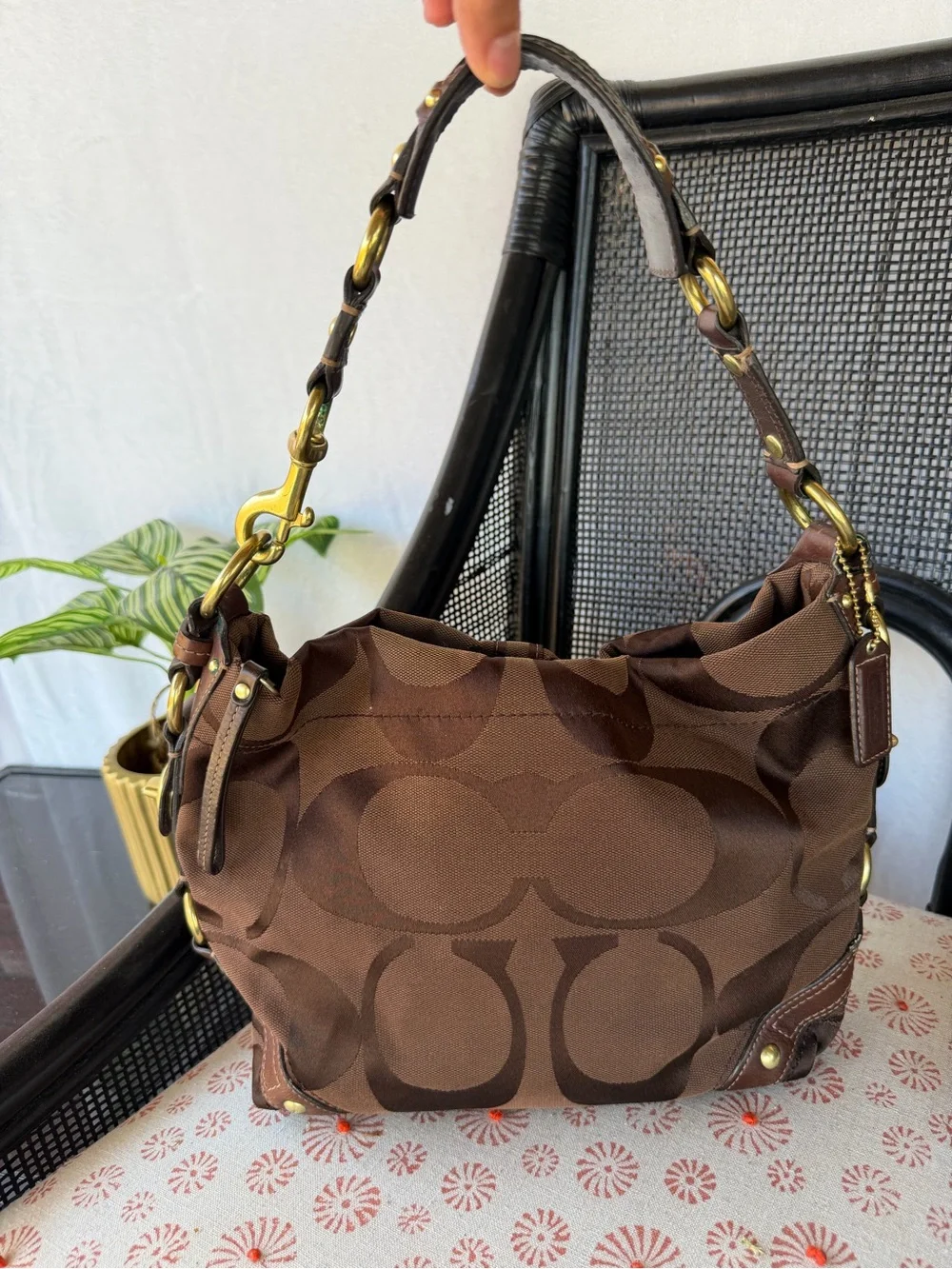 Coach stylish brown